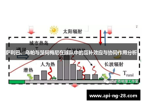 萨利巴、乌帕与楚阿梅尼在球队中的互补效应与协同作用分析